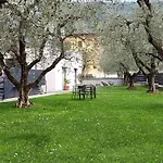 Olive Tree House