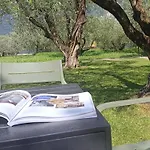 Olive Tree House