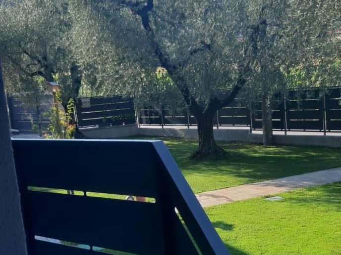Olive Tree House Apartment *